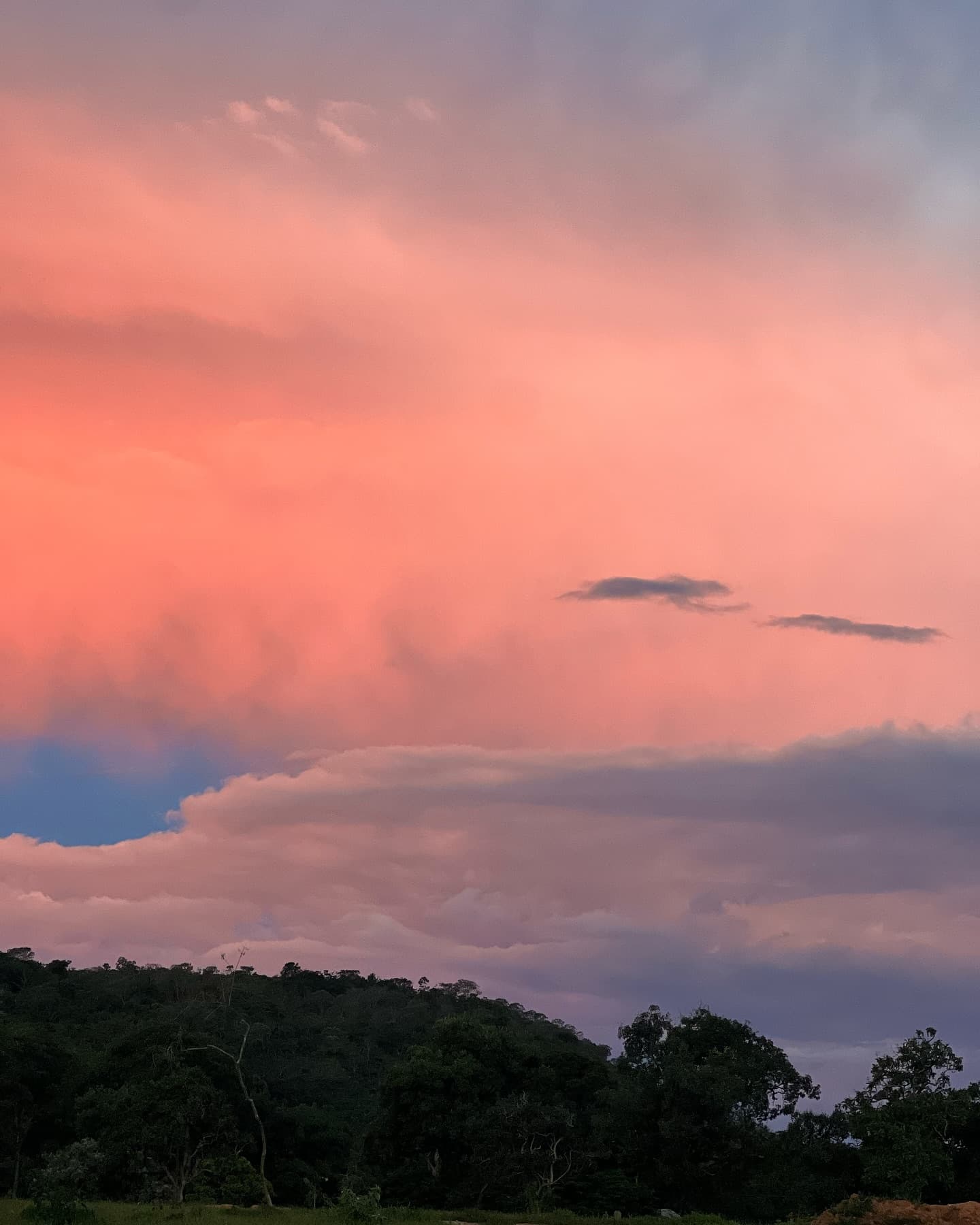 Reserva Vargem Grande - 4