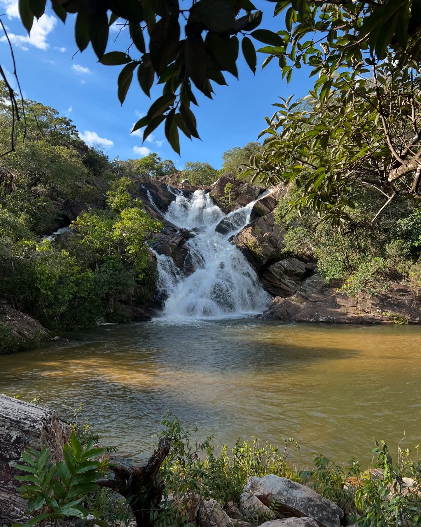 Reserva Vargem Grande - 1