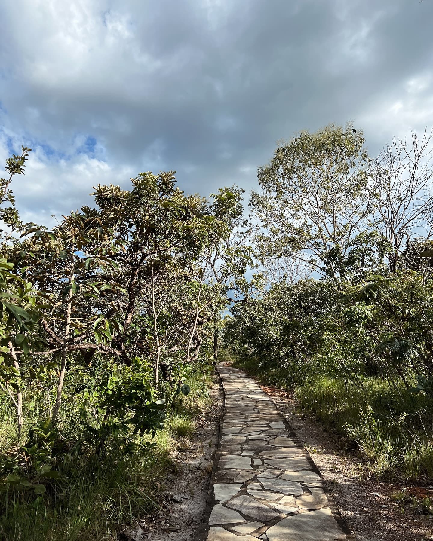 Reserva Vargem Grande - 2